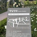 햇살 | [서울 꽃구경] 장미가 가득한 '햇살정원' 서울식물원 호수공원 후기