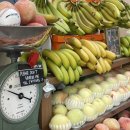 (주)프루 이미지