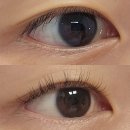 마렌 - 경산시 공단2로3길 18 | 의정부 속눈썹펌 추천 뷰메이트 속눈썹 영양제 마렌 후기