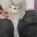 복희미용실