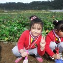 효동농장 이미지