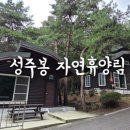 자연속의 집 | 경상북도 상주 성주봉자연휴양림 숲속의집 3호 후기
