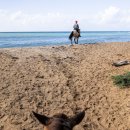 Glow PT Studio 이미지