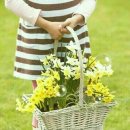 서귀포시노인복지관 이미지