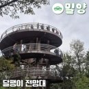 부평1동행정복지센터 문화마당 | 밀양 달팽이전망대와 잔도길 주차 위치 산책 소요시간 총정리