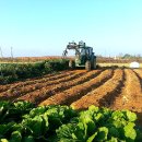 송수농장 이미지