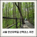 (주)아담소프트 | 서울 안산자락길 산책코스 추천 – 독립문역부터 메타세쿼이아길까지 걷기 좋은 길”