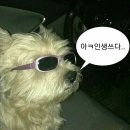 [김해] 대동할매국수 - 진심 리얼 솔직후기