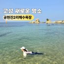 물놀이 | 강원도 고성 스노클링 명소 찾는다면 공현진2리 해수욕장 물놀이 후기