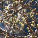 오일시시장 이미지