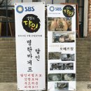 오베르망 이미지