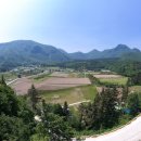 이사부길 이미지