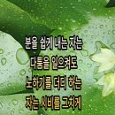 Moon안다미로 이미지