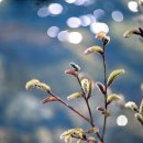 담장아래 볕 이미지