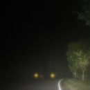 부남보건지소 이미지