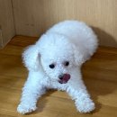 모모한 하루 이미지