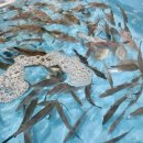 구조라위판장 이미지