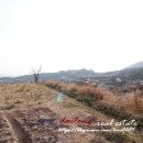 대통부동산공인중개사사무소 이미지