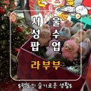 N.VILLAGE 2 이미지