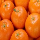 싱싱청과 이미지