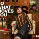 바카디코리아 이미지