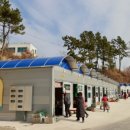 낙지특화거리 이미지