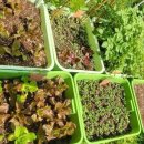 구로-구로-구로-160 이미지