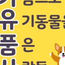 성분도빛둘레지역아동센터 이미지