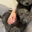 디딤동물병원 이미지