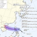 태풍소프트 이미지