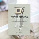 그레이 동물병원 | 이탈리안 그레이하운드 전지 골절 수술 후기 / 수내동 동물 병원