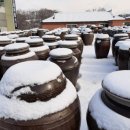 통일촌장단콩마을 이미지