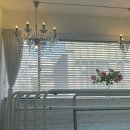 서초중앙로24길 15 이미지