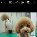 중앙미용학원 이미지