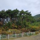 별빛든쉼 이미지