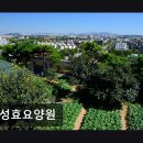 이주형 현실 상황 | [부천 요양원/추천/후기/가격] 은성효요양원 정직한 서비스, 현실적 선택지