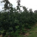 문성 농장 이미지