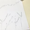 감성그림&손글씨 이미지