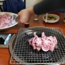 바다산꼼장어 이미지