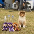 베스트 인 쇼 이미지