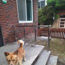 천잠식품 | 로즈퀸 장미오일 효능 후기 | 마음과 육체를 치유하는 천연 에너지 오일