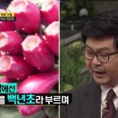 남편을 살린 기적의 천년초 이미지