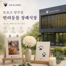포포즈반려동물장례식장양주점 | [양주 강아지 고양이 장례] 포포즈 | 반려동물 장례식장 경기 양주점, 마지막 안녕을 준비하는 따뜻한 공간