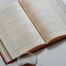 사연을 콘텐츠로 바꾸는 감정형 사연 큐레이터 – 실내에서 가능한 희귀 글 기반 직업 6가지