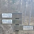 2023.3.11..경기 양평 일당산-당산-웅덕산 종주 이미지