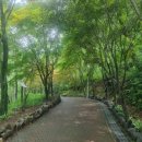 입곡군립공원(산림욕장) 미디어투데이