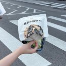 오롯동대문