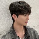 스왈로
