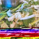 김천시장애인회관식당 | 김천 맛집으로 소문난 단일메뉴의 매력 탐방