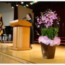 복자여중고 이미지